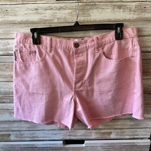 Boyish Monty Pink Denim Shorts Size 32 Sustainable Mid Rise Raw Hem Tickled Pink